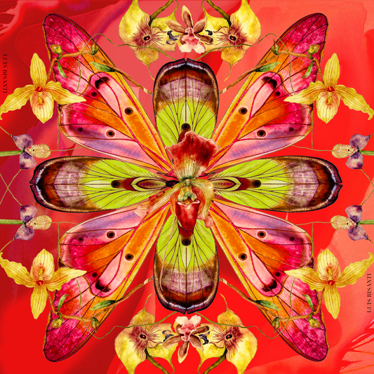 Bufanda - Orchidée Impériale