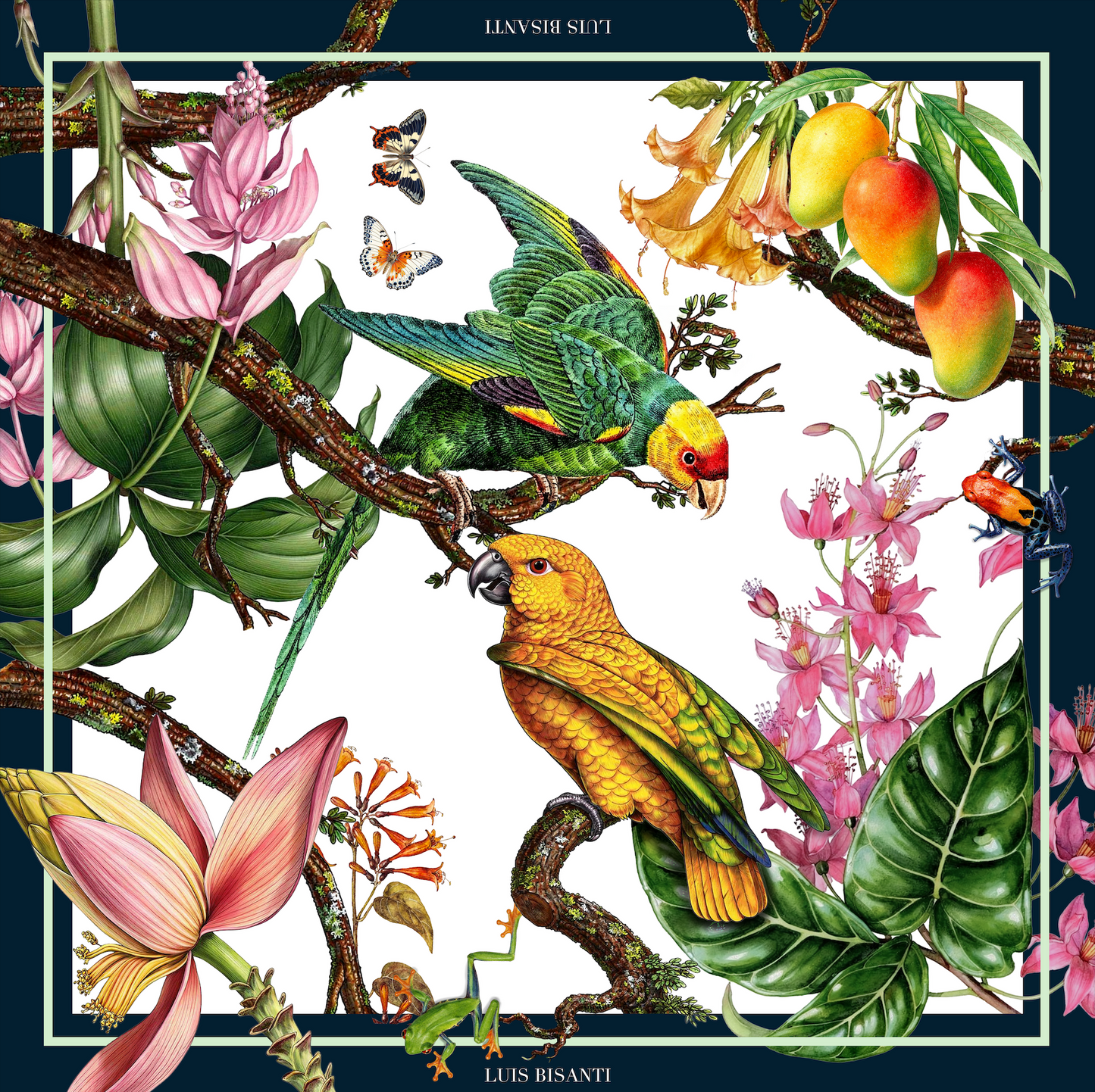 Bufanda - Éden Bisanti